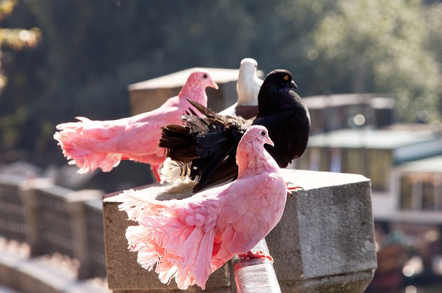 他们的传控从来不拖泥带水