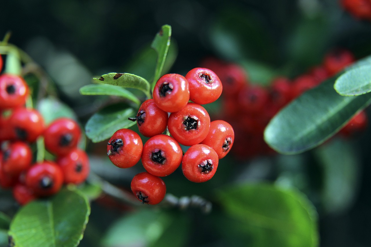 罗林斯32分6板14助 NBA雄鹿114-123不敌76人 马克西54分